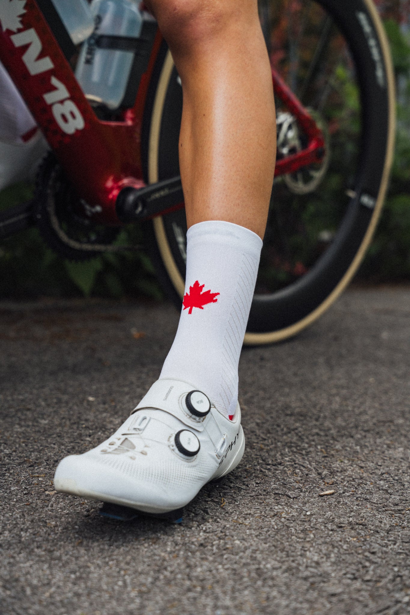 Cycling Canada Socks